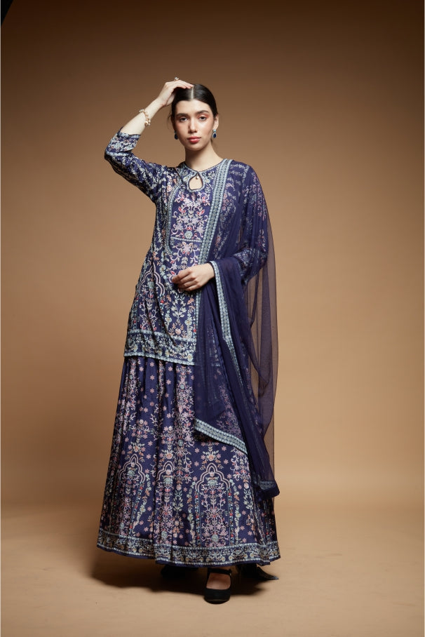 Blue Color Lehenga